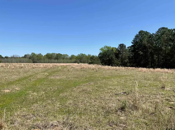 1920 County Road 4622, Troup, TX 75789