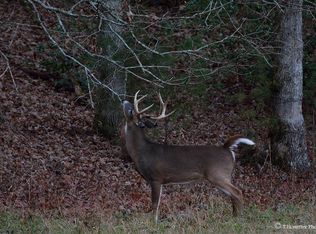 000 Jollett Rd, Elkton, VA 22827