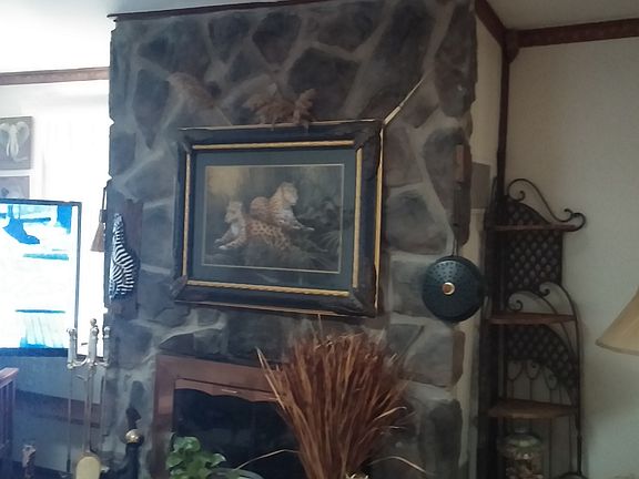 Living Room-Fireplace