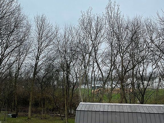 Backyard shed