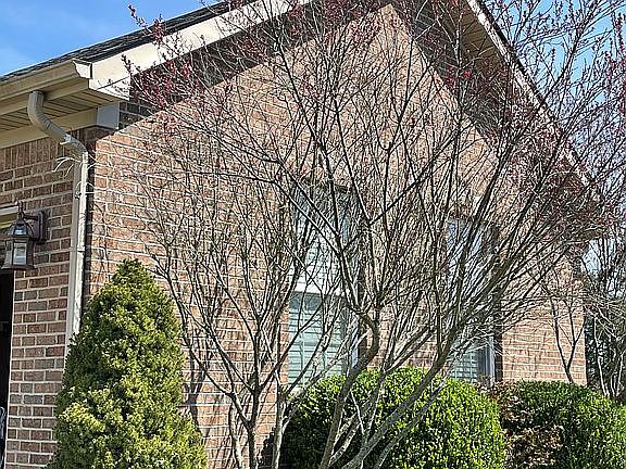 3rd image of 333 Lewis Dr