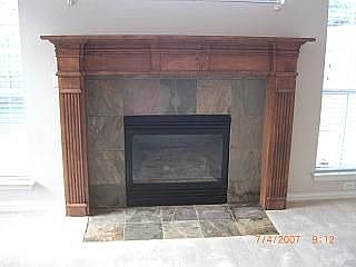 Gas Fire Place