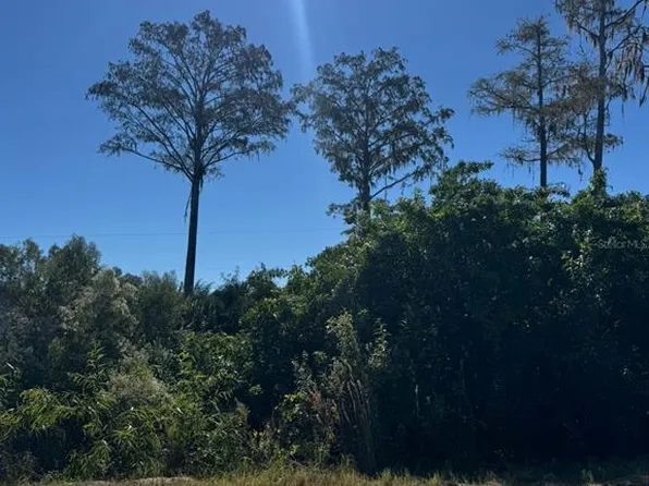 1450 Towton St SE Lot 6, Palm Bay, FL 32909