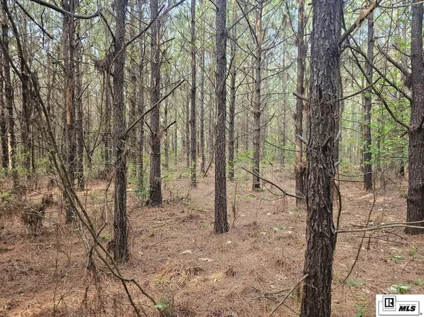 0 W County Line Rd, Ruston, LA 71270