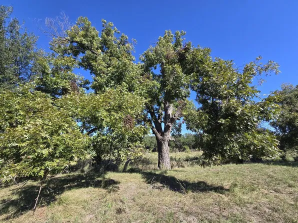 598 Dunagan Rd, Menard, TX 76859