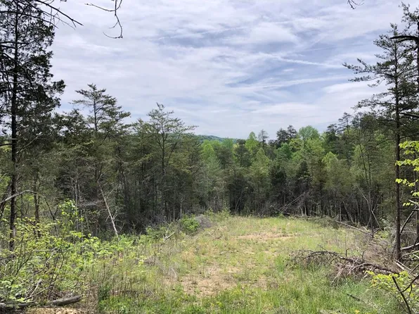 Coy Bradley Ln, Bulls Gap, TN 37711