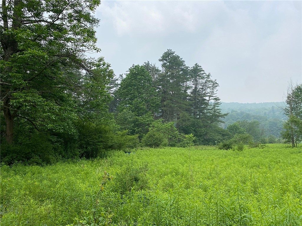 315 Upper Green St, Otego, NY 13825 Zillow