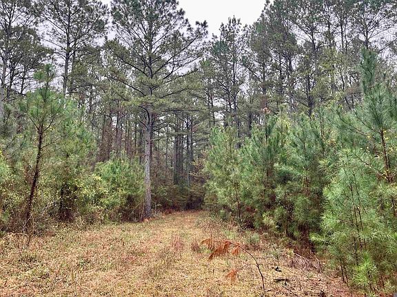 5th image of 1 Hinton Rd