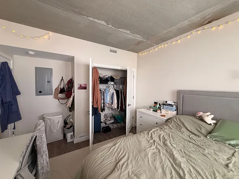 Gorgeous Historical Apartments Near Beach in East Rogers Park — Photo 87