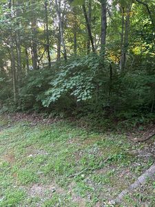 LOT Shoreline Dr, Somerset, KY, 42503