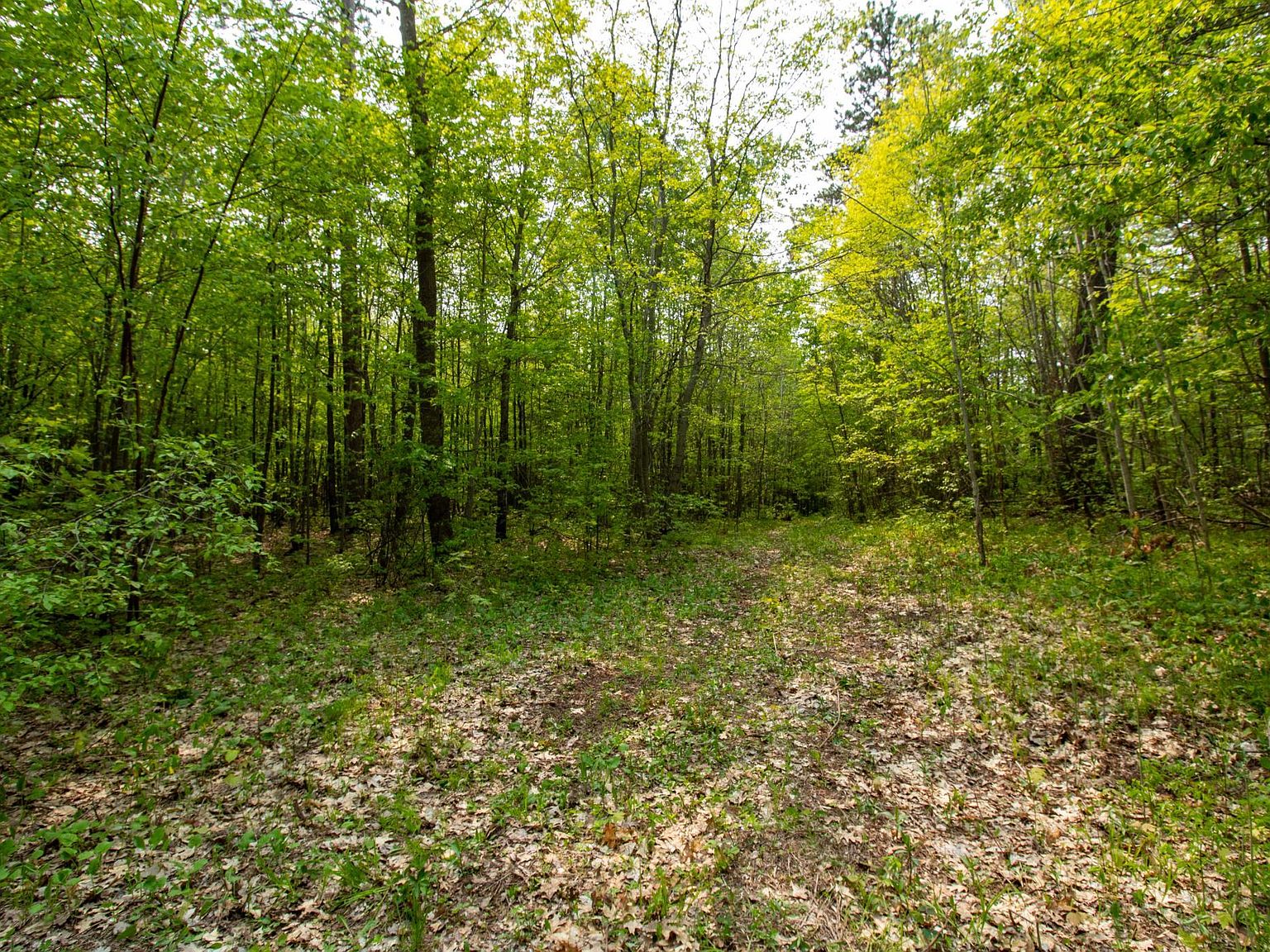 X Co Hwy 47, Osage, MN 56570 Zillow