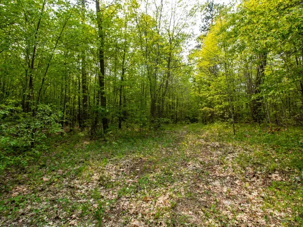 X Co Hwy #47, Osage, MN 56570