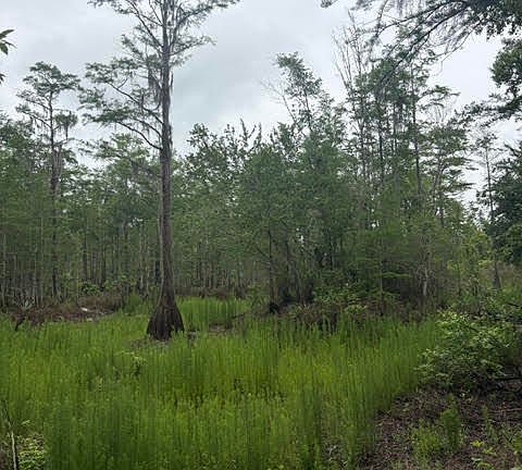 3rd image of 2435 Douglas Pond Rd