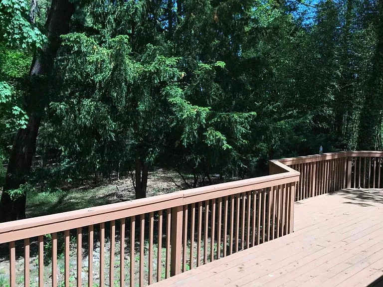 10206 Green Clover Ct — Photo 7