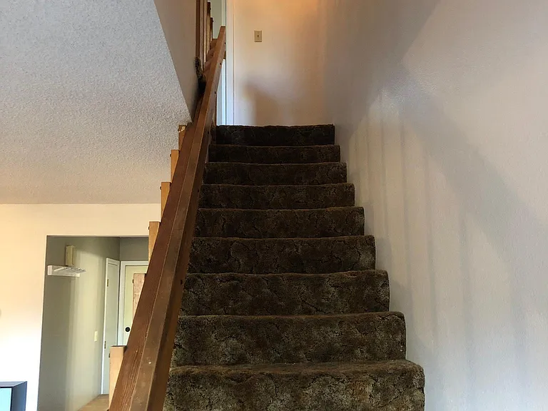 Carpeted stairs to second floor