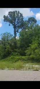 3834 17th St W, Lehigh Acres, FL, 33971