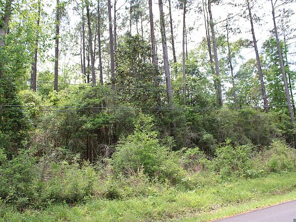 3rd image of Pinewood Rd