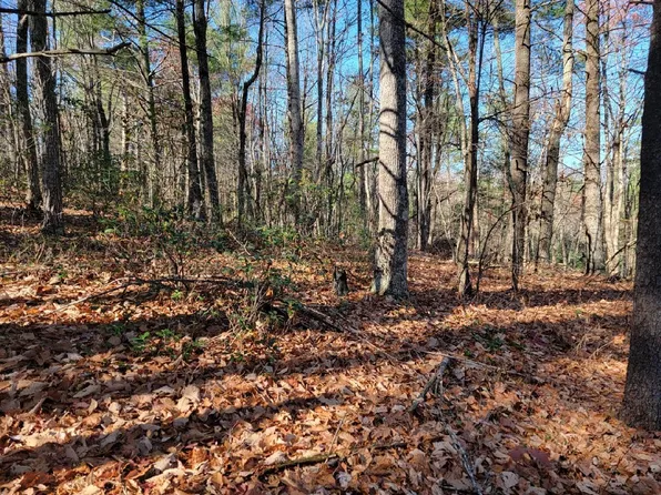 0 Craig Valley Dr #1, Catawba, VA 24070