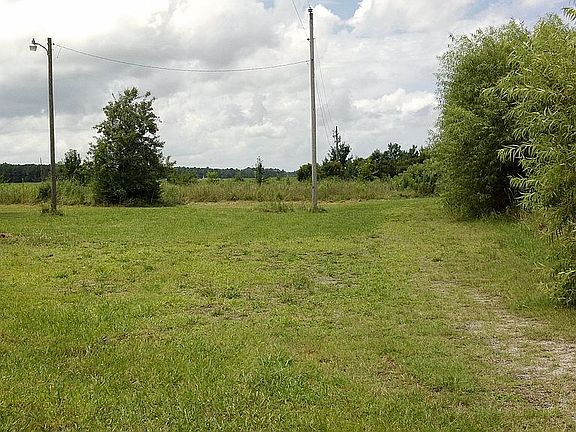 Part of the backyard 