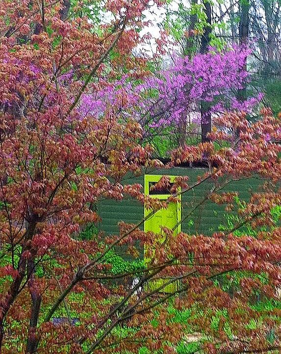 Chicken house/shed from deck