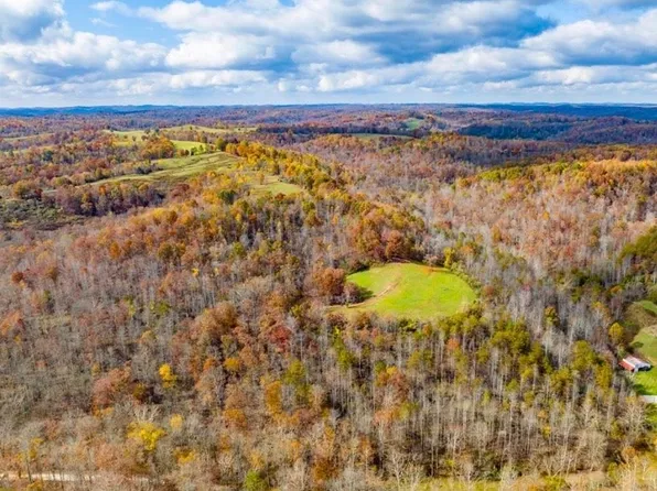 0 Goodan Crk, Olive Hill, KY 41164