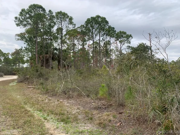 0 SW 153rd Ter, Cedar Key, FL 32625