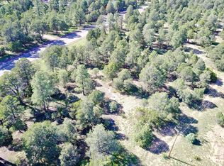 2204 Four Point Cir, Overgaard, AZ 85933