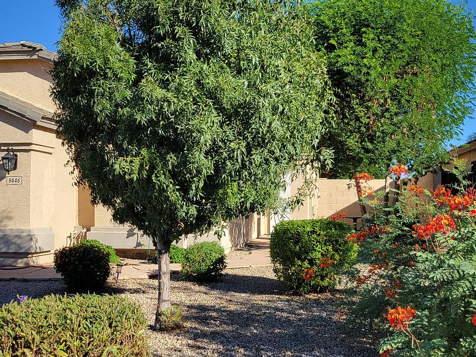 Front from different view. Landscaper comes twice a month. Included in rent.