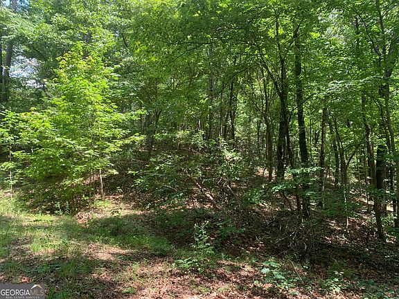 4th image of 0 Grant Smith Summit Rdg