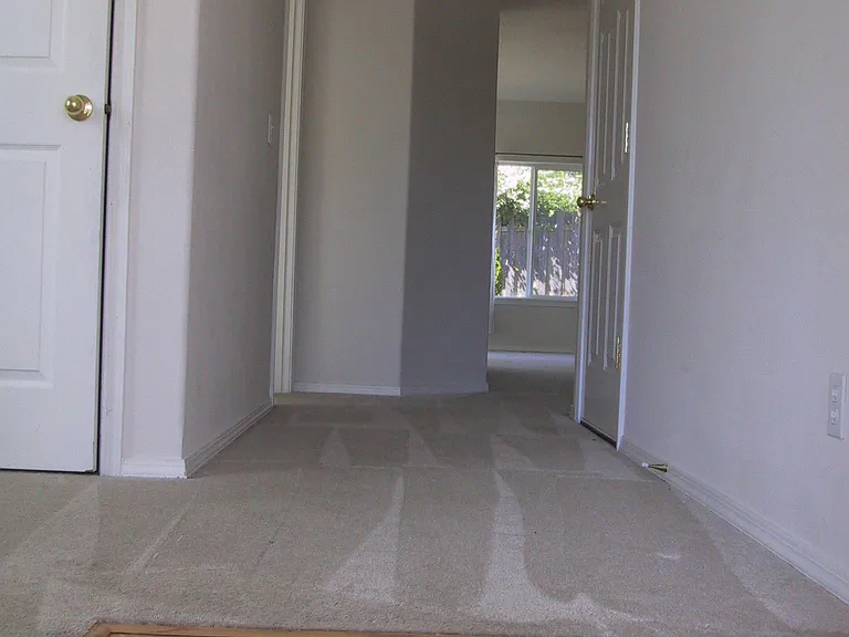 entrance, Brand New laminate floor to be installed in August