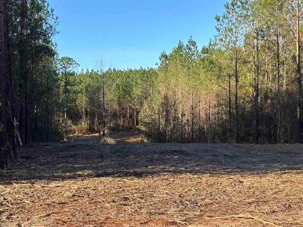 58 Straw Bridge Rd, Jay, FL 32565