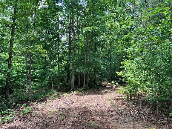 5th image of 0 Pea Ridge Rd