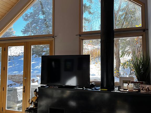 Wood burning fireplace