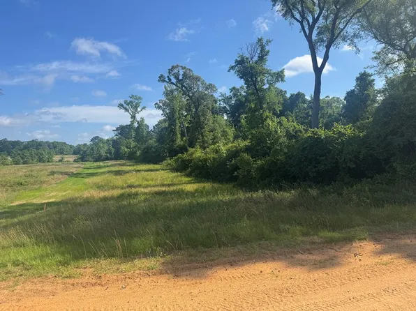 15 Moore Meadow Dr, Georgetown, GA 39854