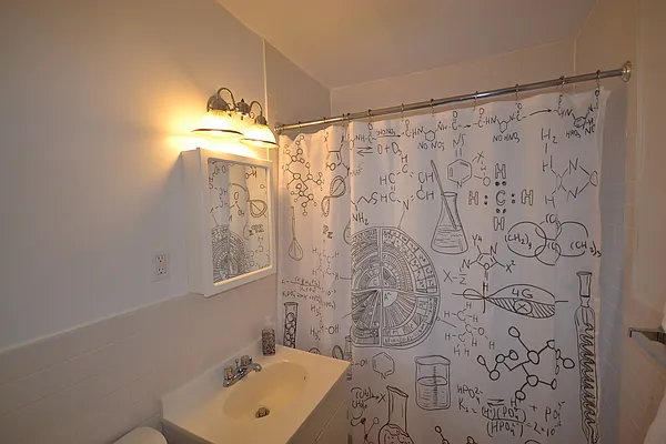 Rented by Silverstein Collection LLC  | media 15