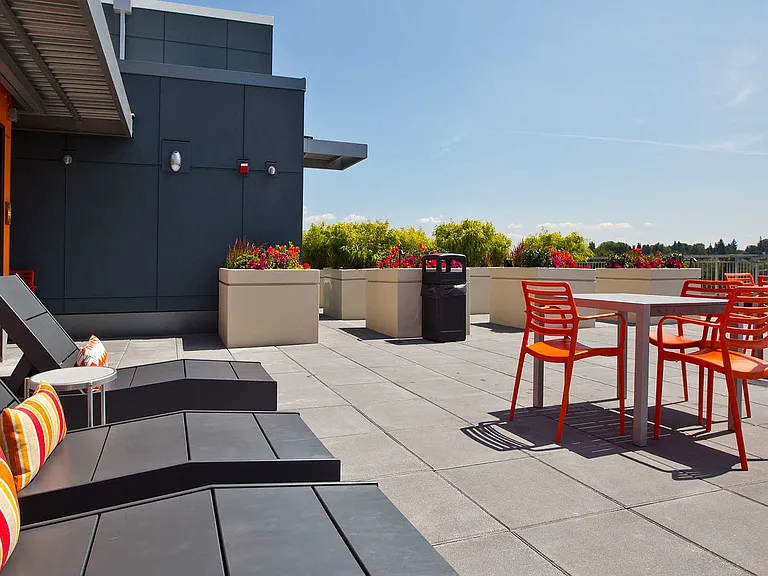 Rooftop Deck