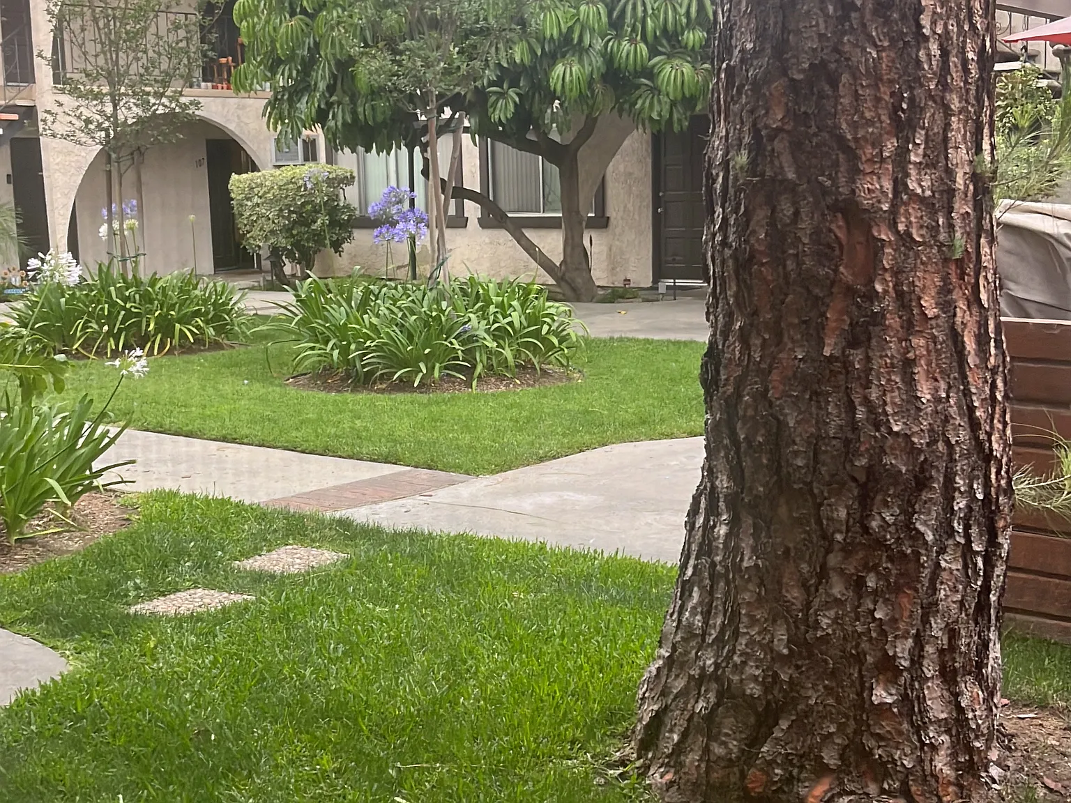 La Villa Descanso Apartments — Photo 4