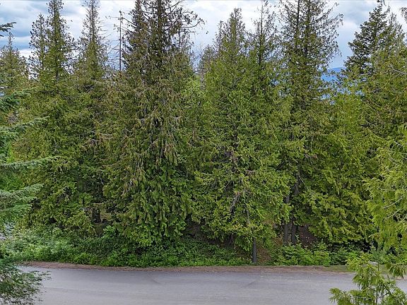 3rd image of LOT C19 Trappers Loop