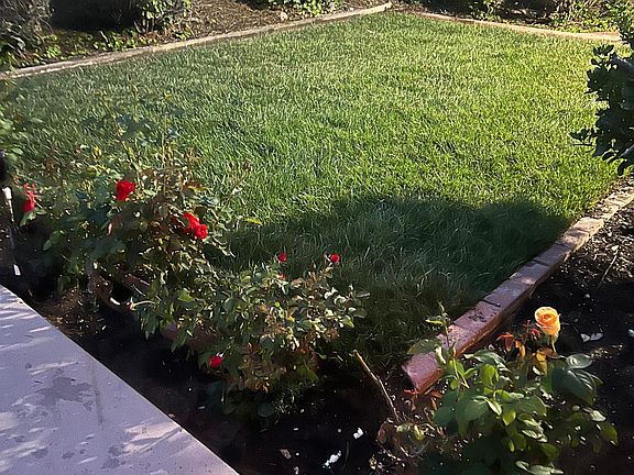Part of backyard