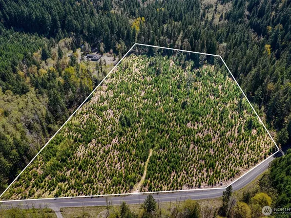 0 Cline Street, Randle, WA 98377