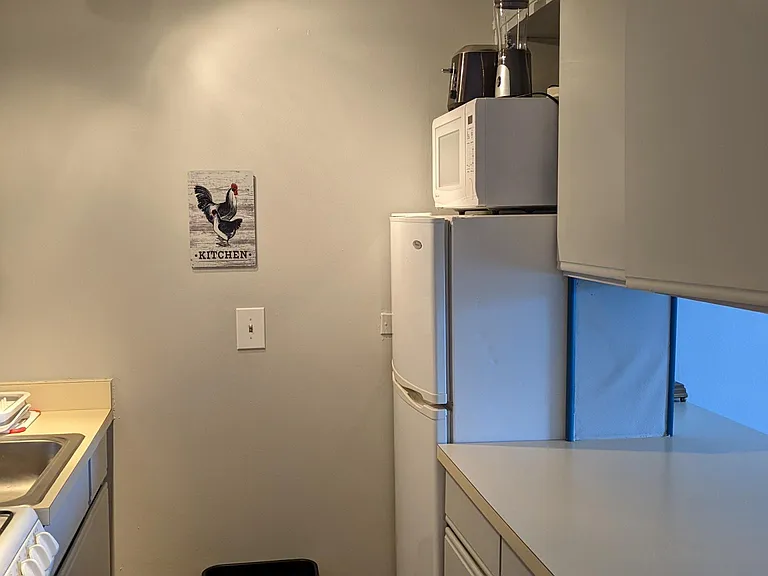 Euorpean-size refrigerator. Lots of storage!