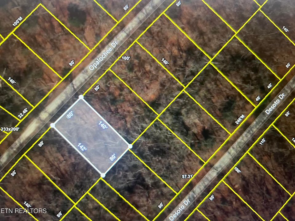 2nd image of 3106 Opalochee Dr