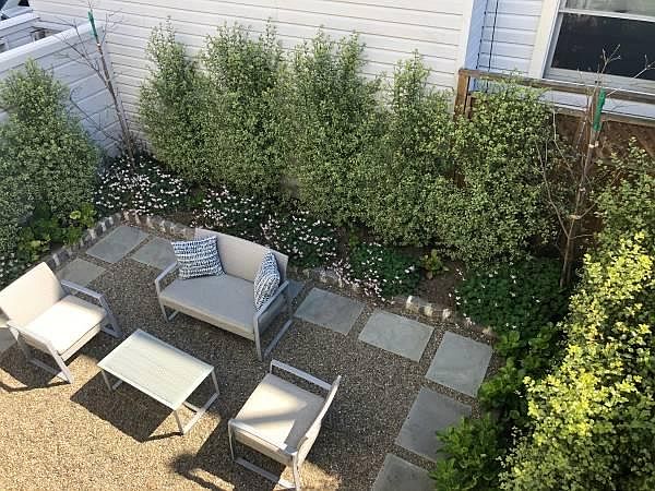 Sunny, secluded garden with flowering plants