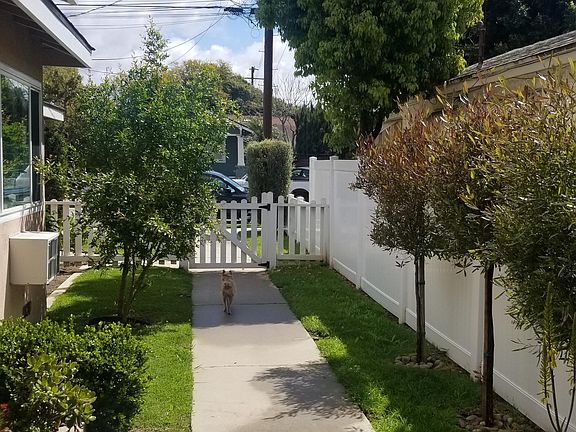 Front yard