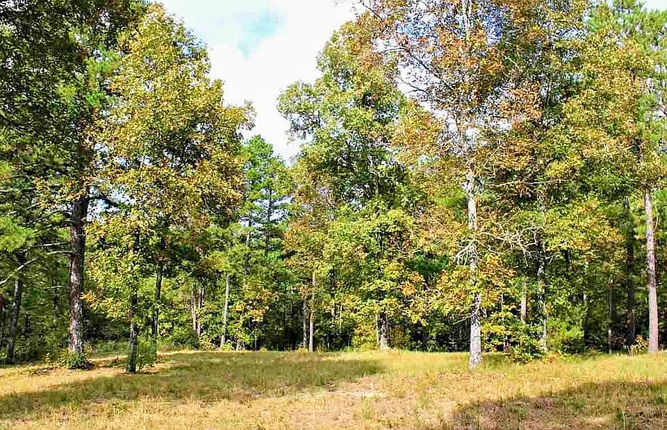 2nd image of 525 Hodge Spring Rd