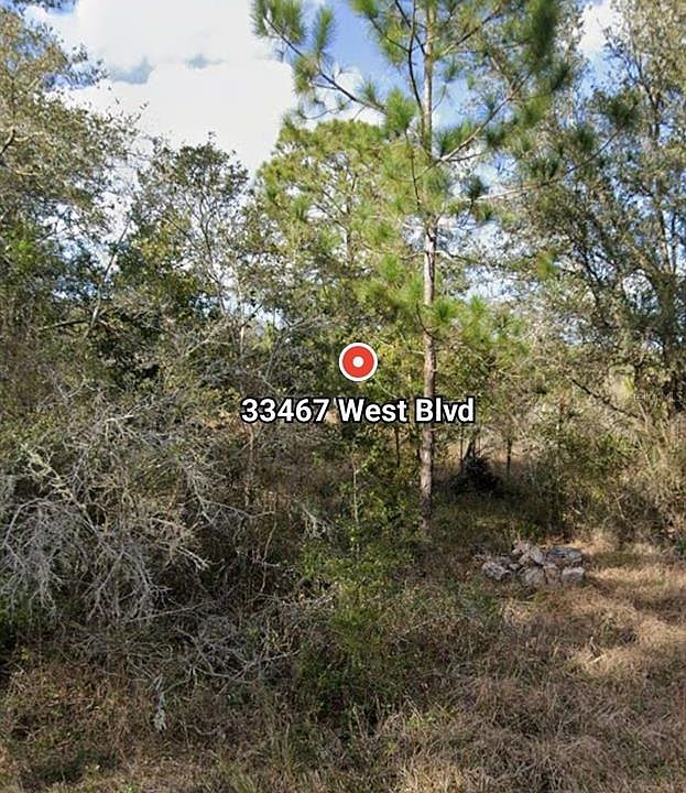 2nd image of 33467 West Blvd Lot 16