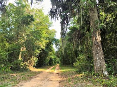 0 Old Locke 3 Rd, Demopolis, AL, 36732