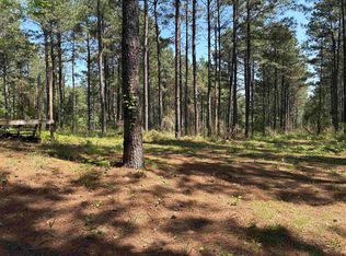 175 Mims Chapel Rd, Avinger, TX 75630