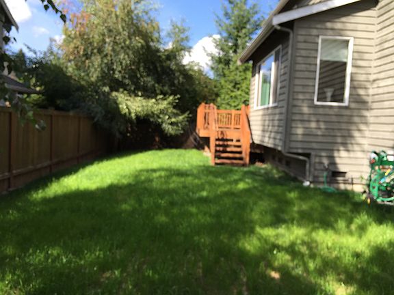 Back yard