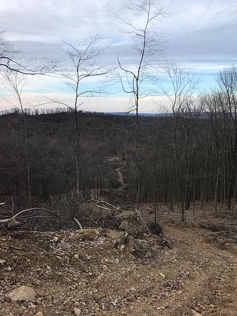 2nd image of 2232 Moss Hollow Rd